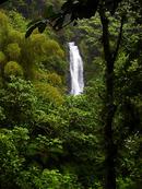 TRAFALGAR FALLS